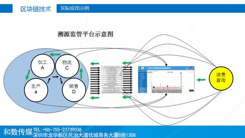 傳統產業升級新引擎 和數軟件以區塊鏈技術引領數字服務新篇章